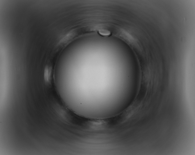 X0000086920118200704161411