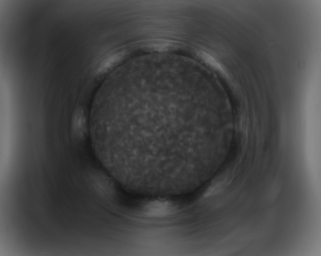 X0000086920119200704161411