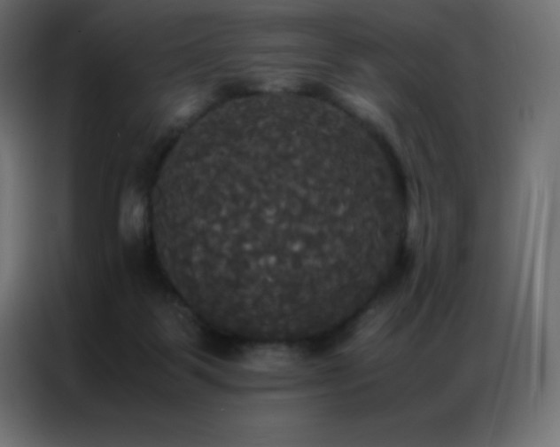 X0000086920123200704161411