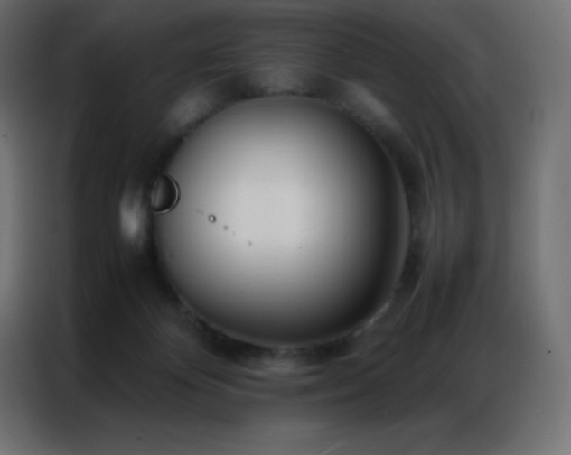 X0000086920124200704161411