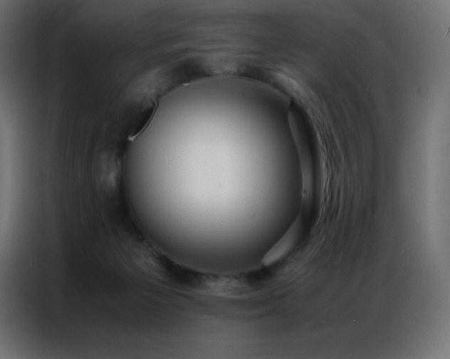 X0000086920125200704161411