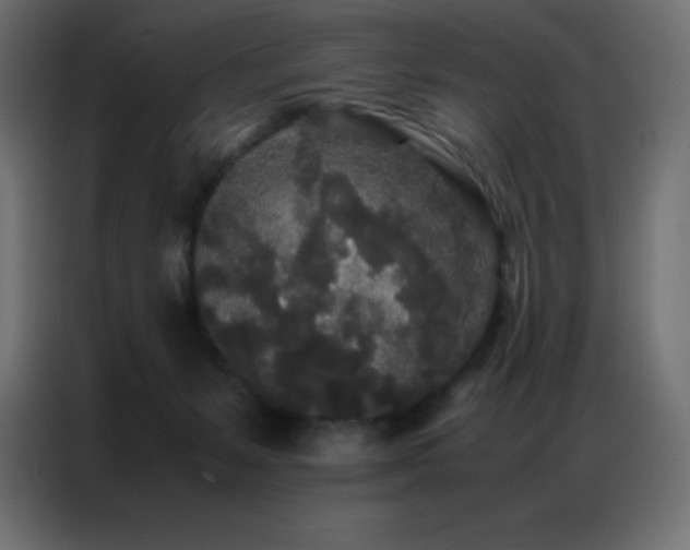 X0000086920127200704161411