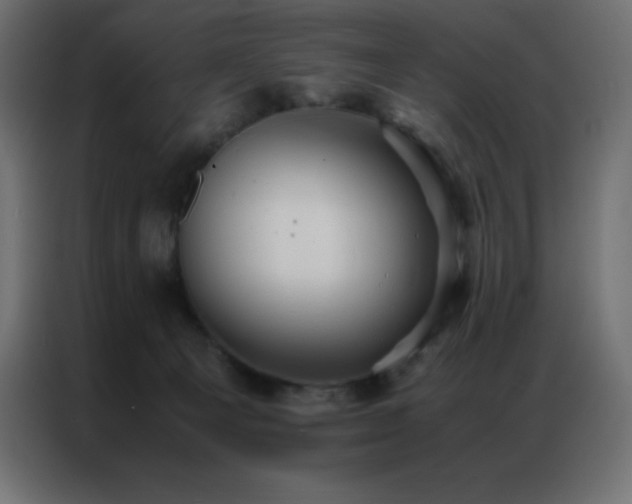 X0000086920129200704161411