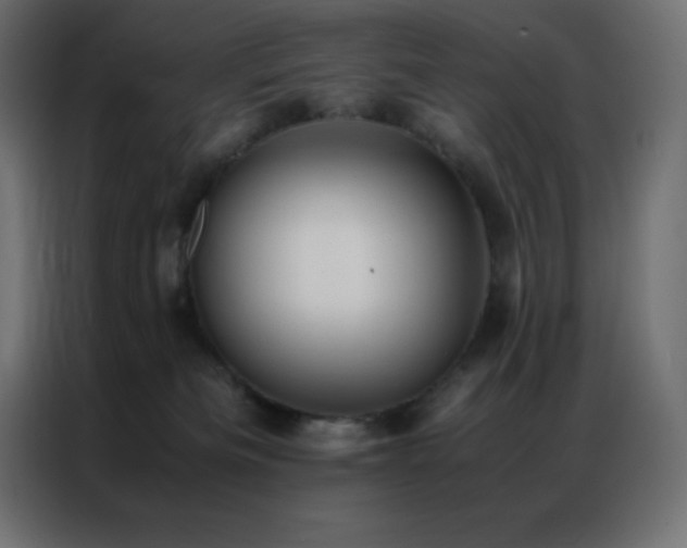 X0000086920133200704161411