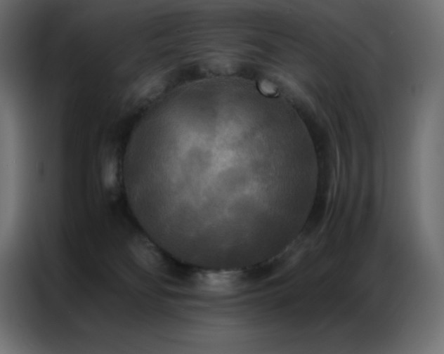 X0000086920134200704161411