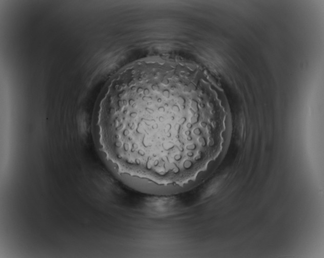 X0000086920135200704161411