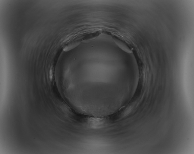 X0000086920139200704161411