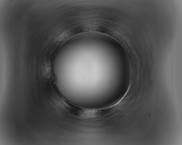 X0000086920144200704161411