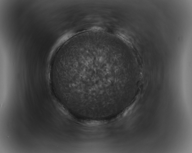 X0000086920149200704161410