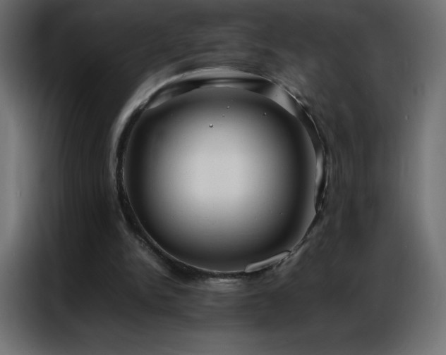 X0000086920150200704161410