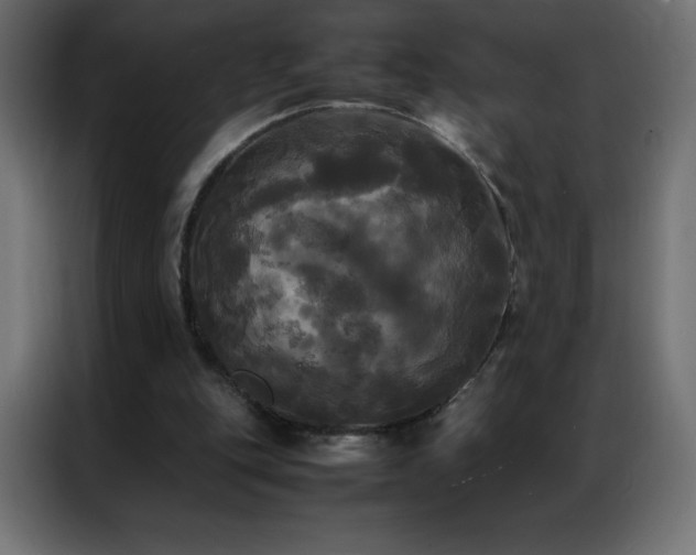 X0000086920151200704161410