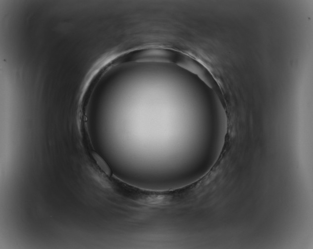 X0000086920152200704161410