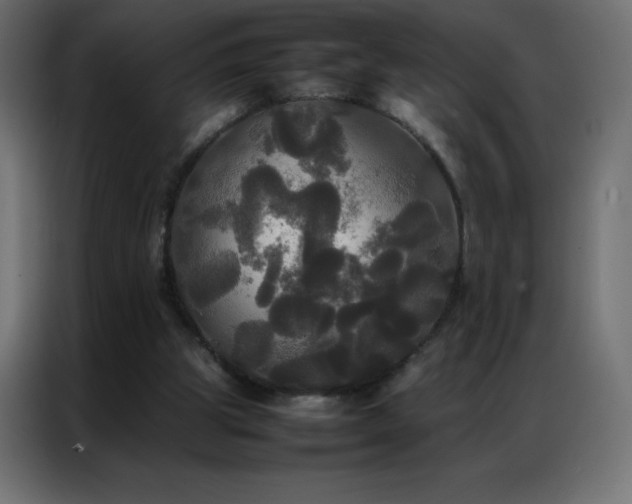 X0000086920153200704161410