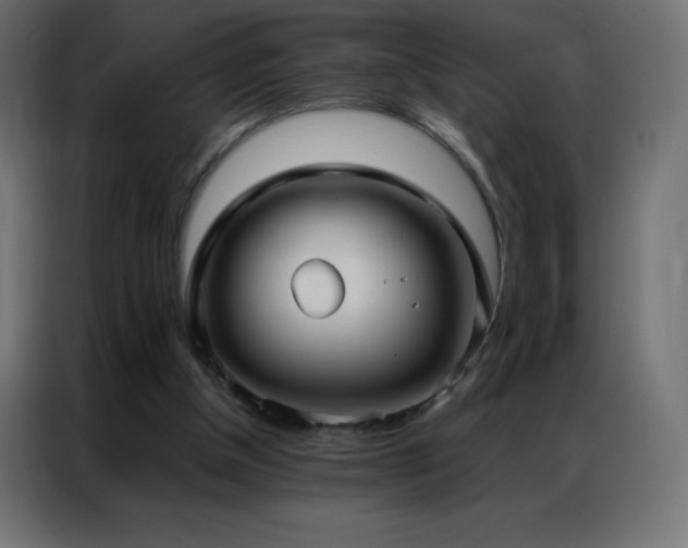 X0000086920154200704161410