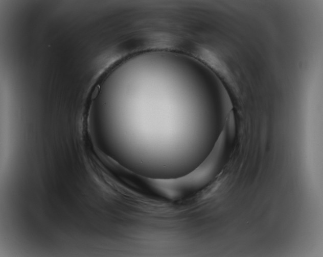 X0000086920156200704161410