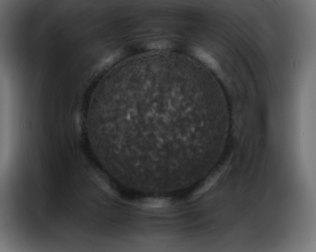 X0000086920161200704161410