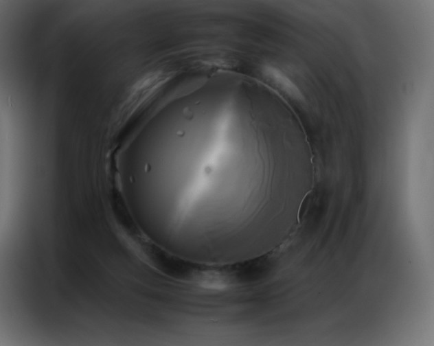 X0000086920163200704161410
