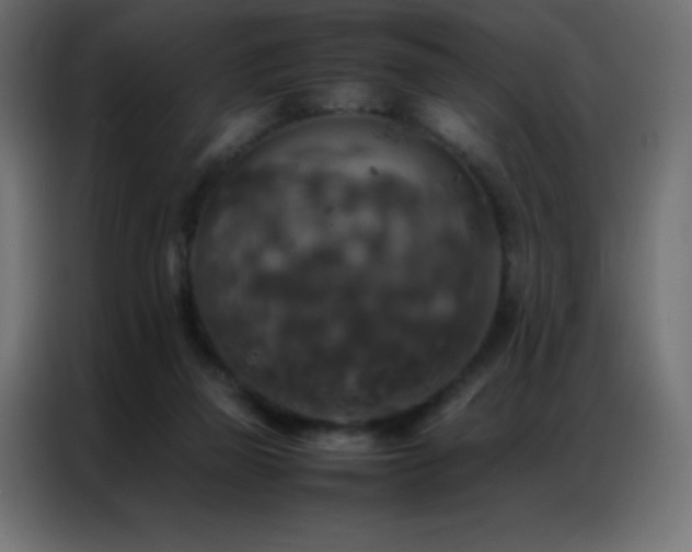 X0000086920165200704161410