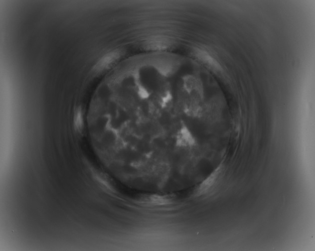 X0000086920166200704161410