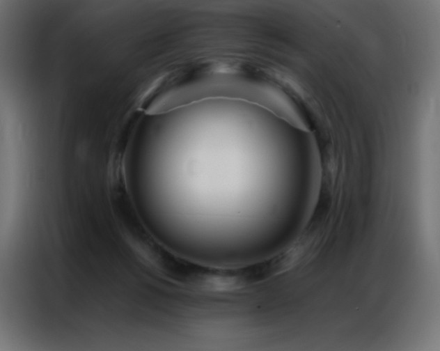 X0000086920168200704161410