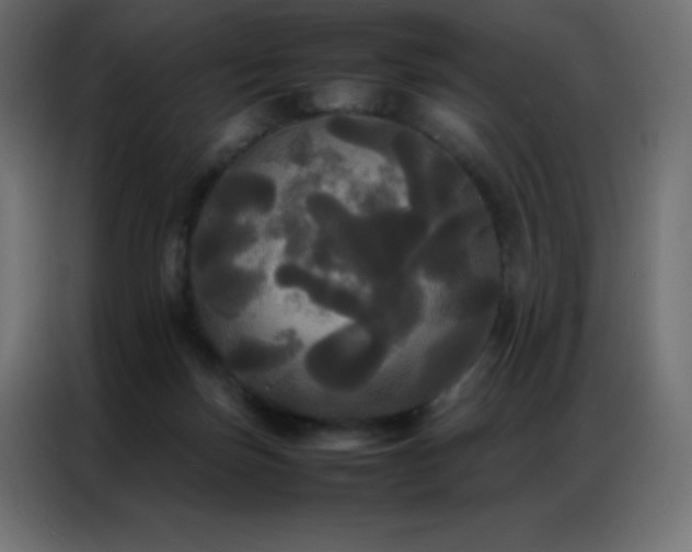X0000086920171200704161410