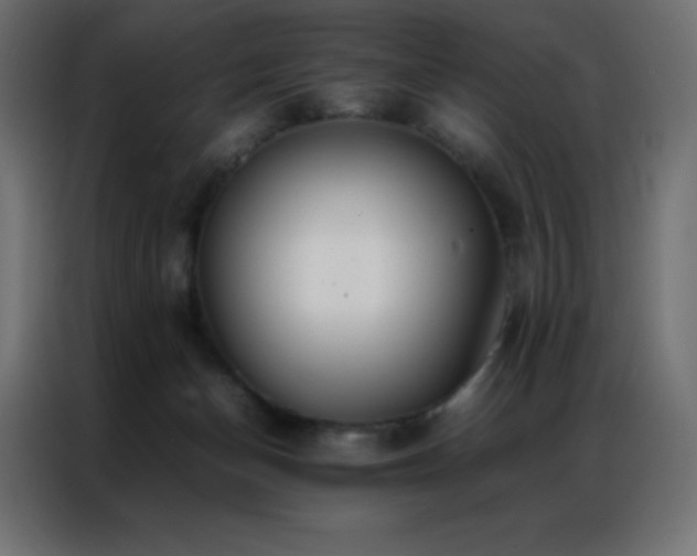 X0000086920174200704161410