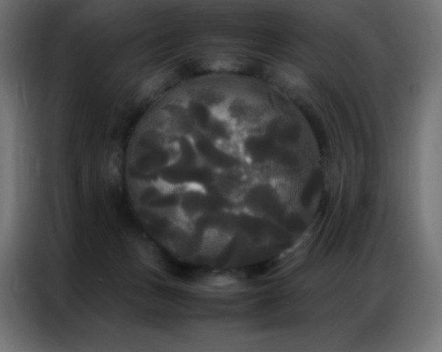 X0000086920175200704161410
