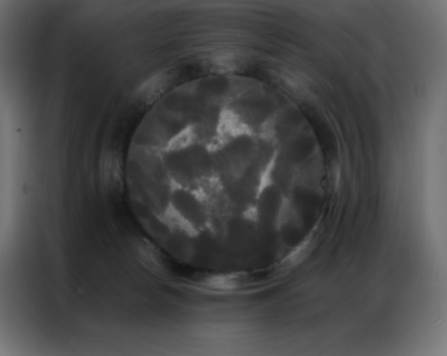 X0000086920178200704161410