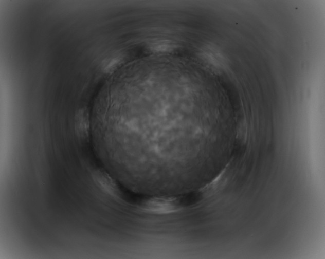 X0000086920179200704161410