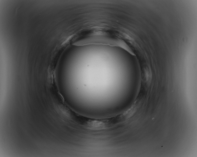 X0000086920180200704161410
