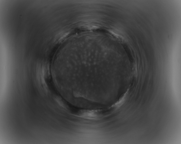 X0000086920182200704161410