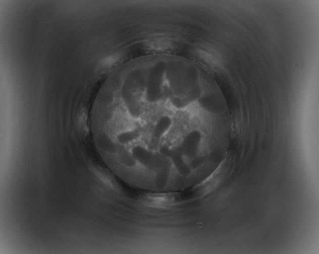 X0000086920187200704161411