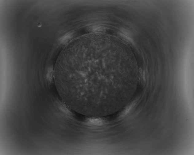 X0000086920189200704161411