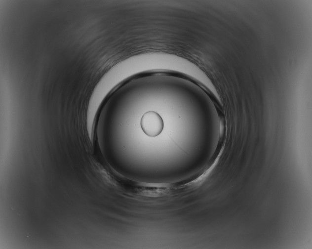 X0000086920190200704161411