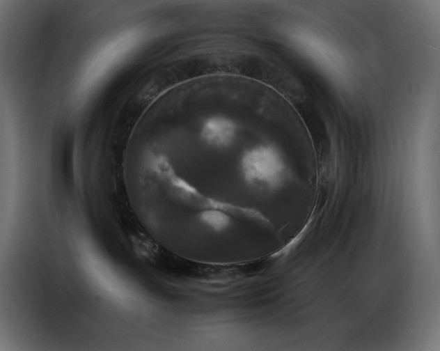 X0000086920191200704161411