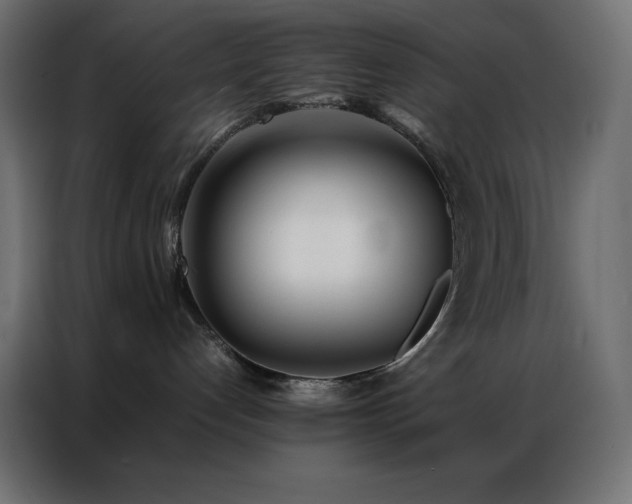 X0000086920192200704161411