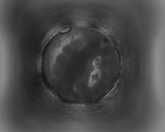 X0000086920194200704161410