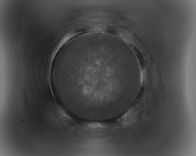 X0000086920195200704161410