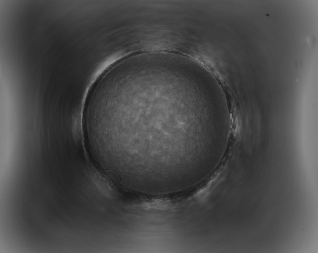 X0000086920196200704161410