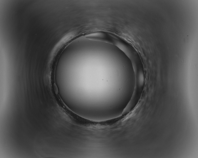 X0000086920197200704161410