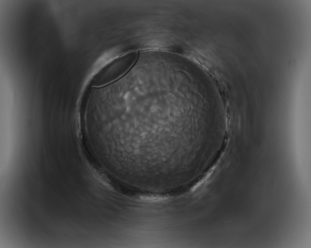 X0000086920198200704161410