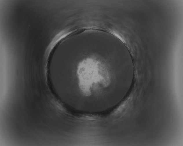X0000086920199200704161410