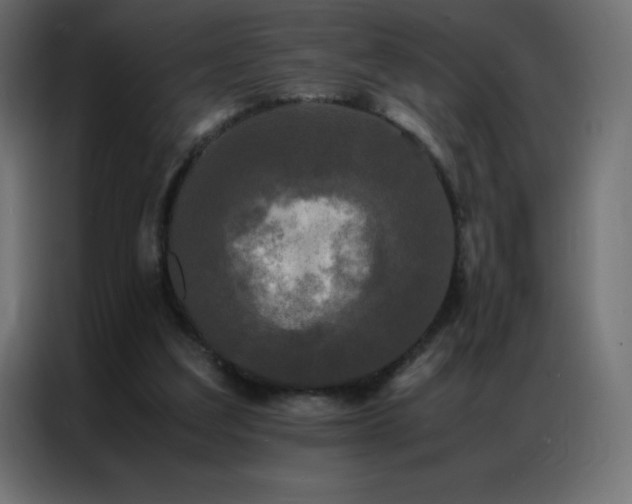 X0000086920203200704161410