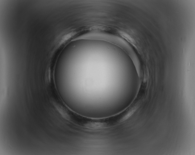 X0000086920205200704161410