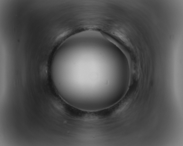 X0000086920207200704161410