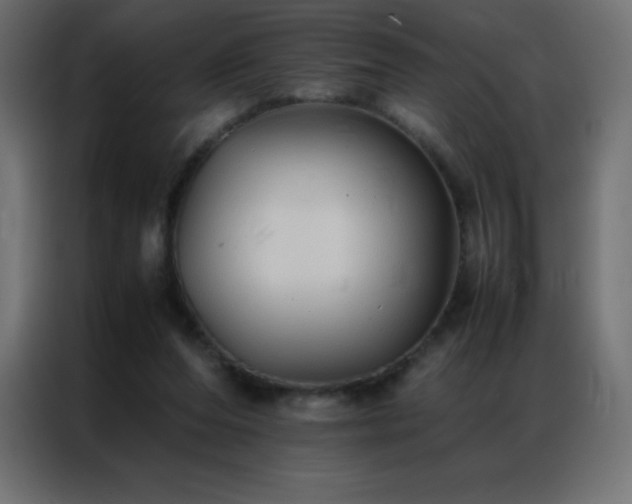 X0000086920208200704161410