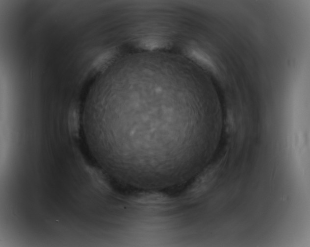 X0000086920210200704161410