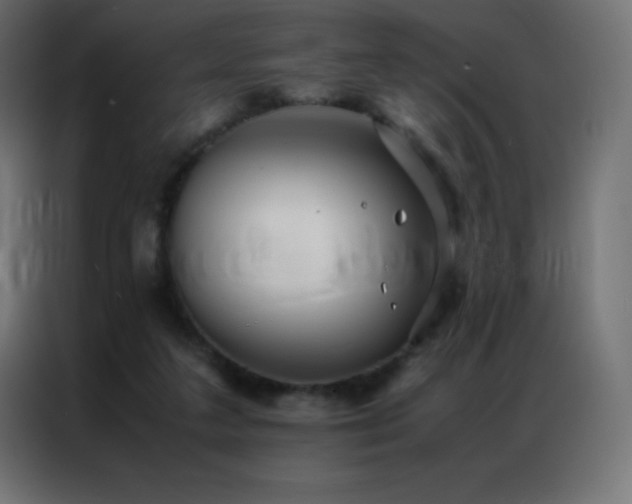 X0000086920211200704161410