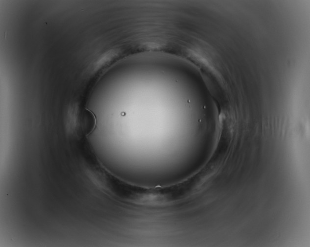 X0000086920212200704161410