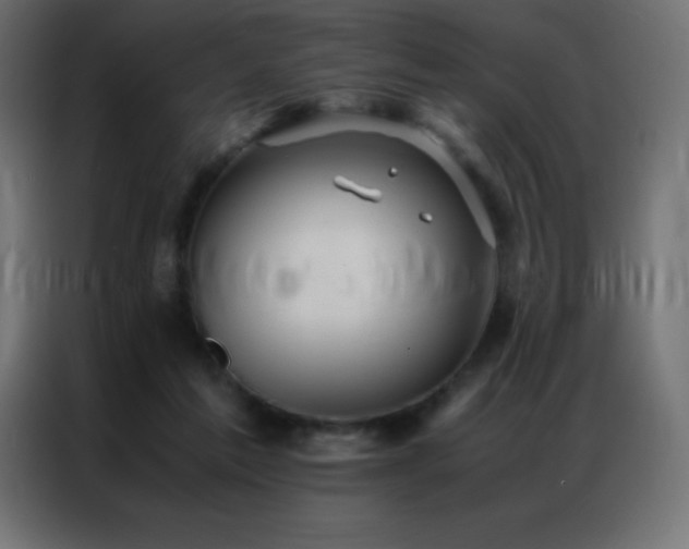 X0000086920213200704161410